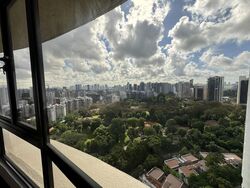 The Draycott (D10), Apartment #473353401